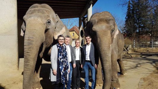 AWI TREUHAND Unterstützung des Augsburger Zoos